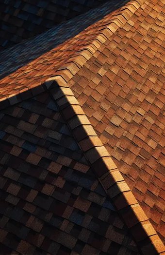 Roof Leak Repair X